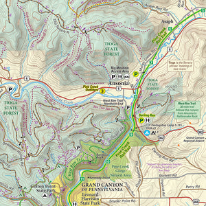 Pine Creek Lizard Map - Grand Canyon of Pennsylvania