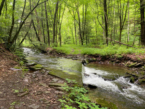 Deep Creek - Savage River State Forest: Maryland Map