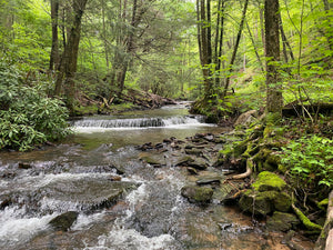 Deep Creek - Savage River State Forest: Maryland Map