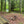Deep Creek - Savage River State Forest: Maryland Map