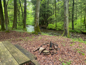 Deep Creek - Savage River State Forest: Maryland Map