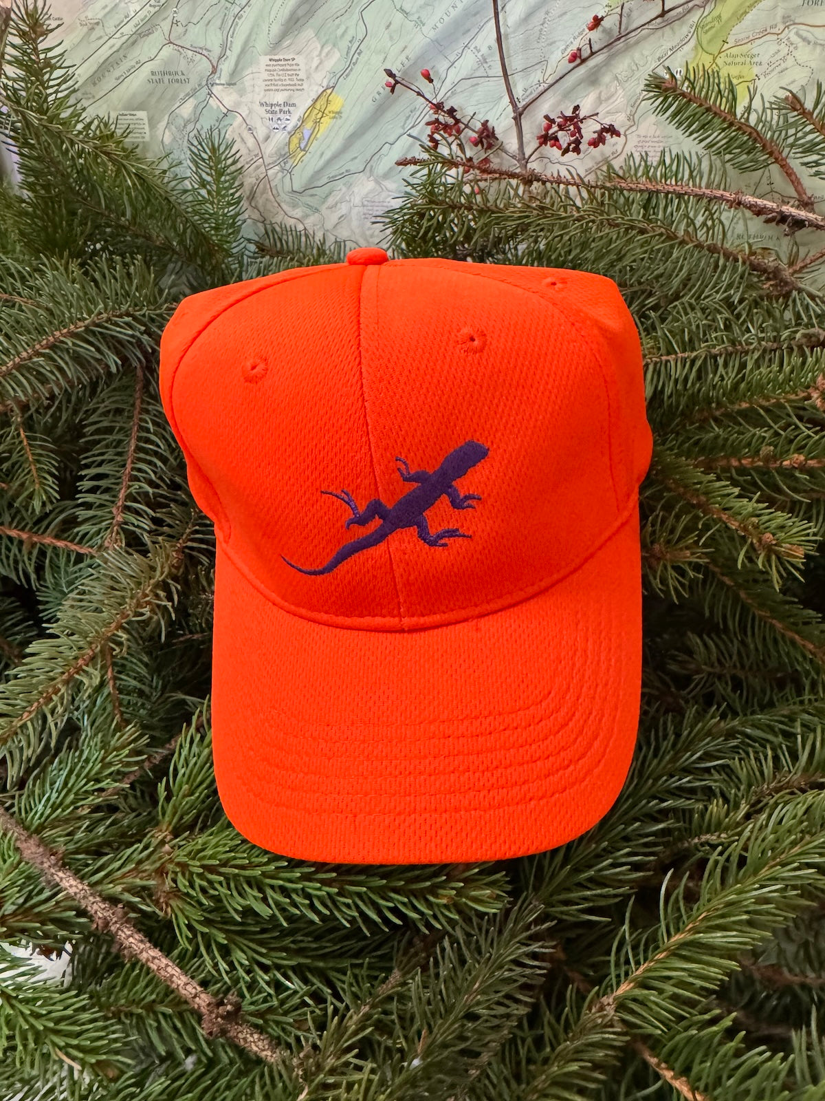 Lizard Performance Trail Cap