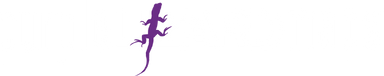 Purple Lizard Maps