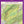 Purple Lizard Map of Rothrock State Forest Back Cover with a purple border and green topographic details.