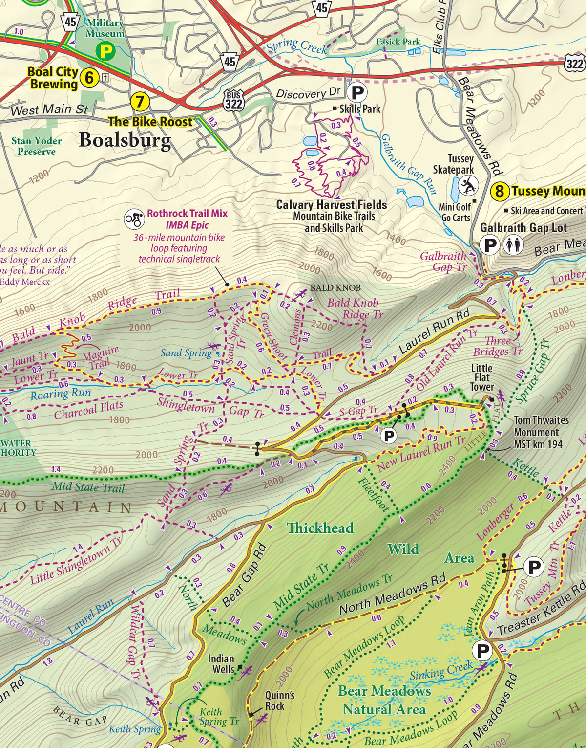 Rothrock Lizard Map, Pennsylvania