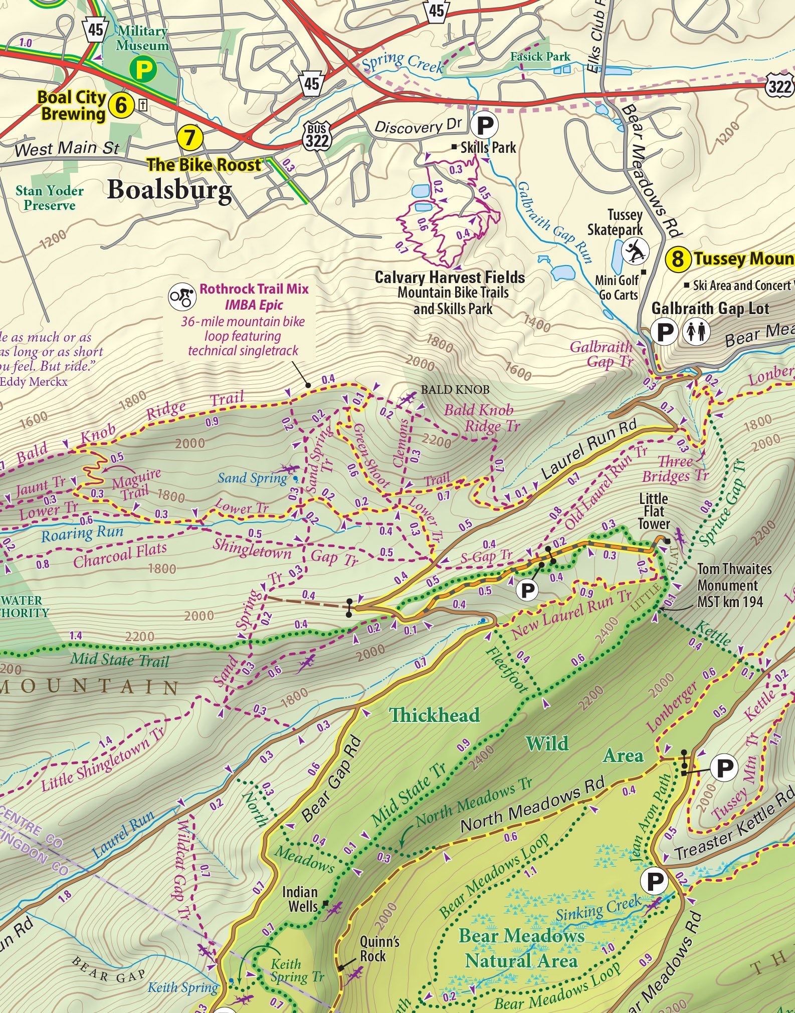 Rothrock Lizard Map, Pennsylvania Purple Lizard Maps