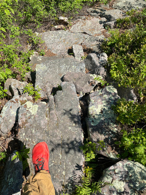 Person Hiking with red shoes using Purple Lizard Map in Rothrock State Forest 
