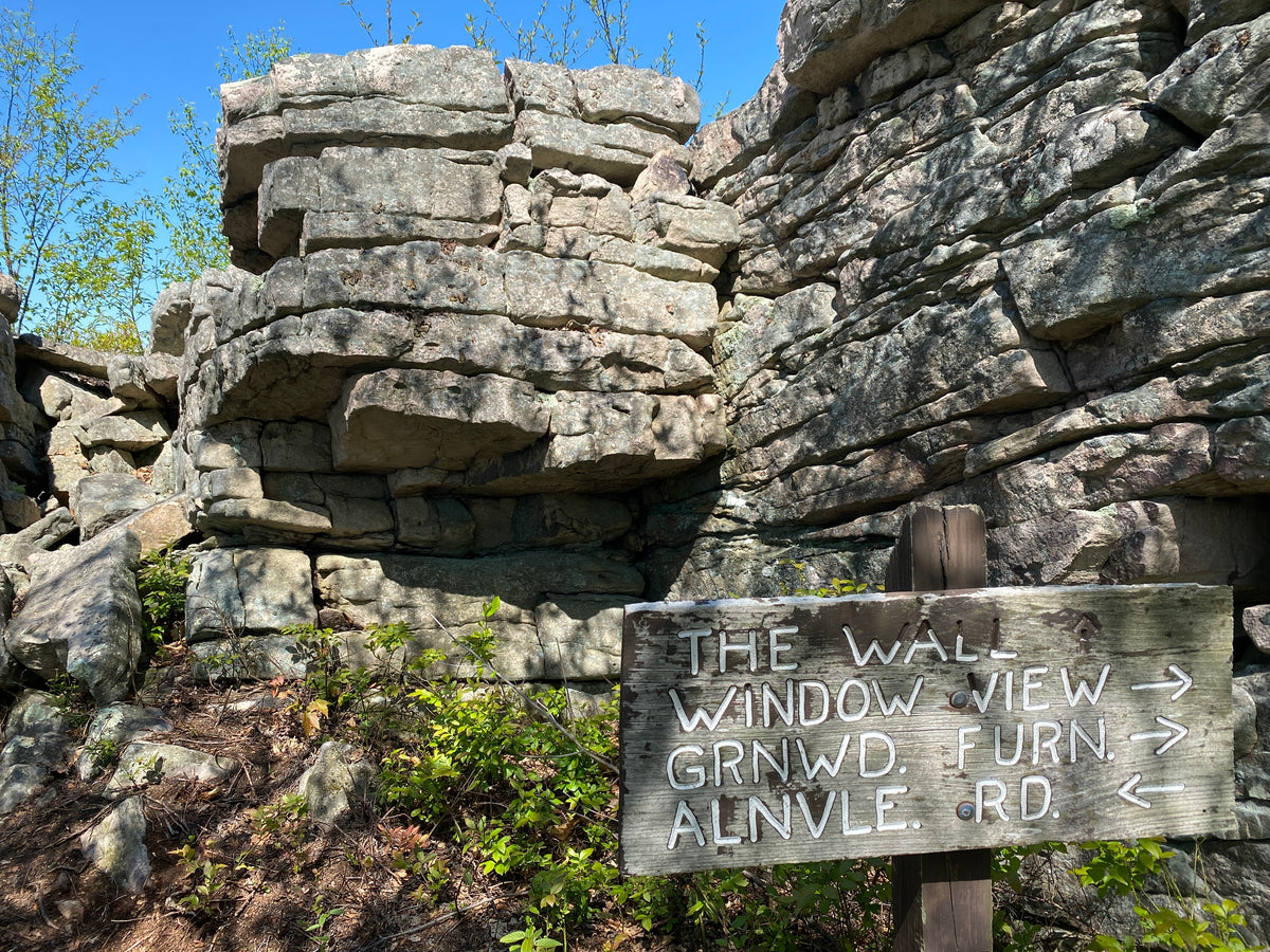 Rothrock Lizard Map, Pennsylvania