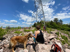 Purple Lizard Team Doing Ridgetop Powerline HIke In Rothrock State Forest
