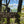 Big Valley Vista View of Sign and overlook - Purple Lizard Team Exploring Rothrock State Forest