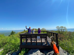 Purple Lizard team on Hawk Watch Platform