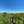 Hawk Watch View: Rothrock Purple Lizard Map - View from a lookout point with a railing, overlooking green trees and a clear blue sky.