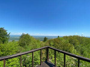 Hawk Watch View: Rothrock Purple Lizard Map - View from a lookout point with a railing, overlooking green trees and a clear blue sky.