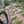 Purple Lizard Maps team explores Rothrock State Forest by Bicycle - wheel on a rocky forest trail