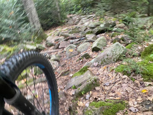Purple Lizard Maps team explores Rothrock State Forest by Bicycle - wheel on a rocky forest trail