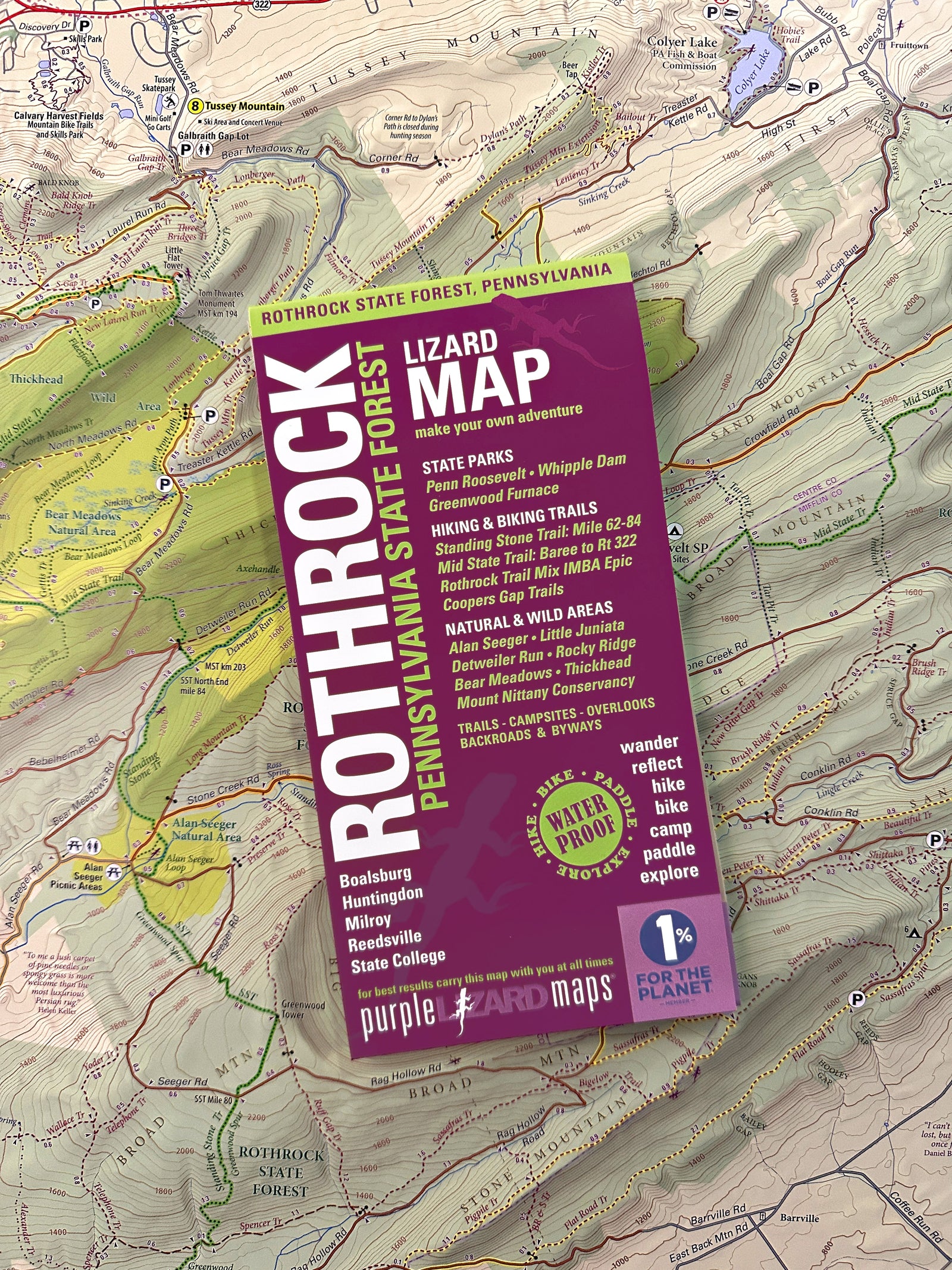 Rothrock Lizard Map, Pennsylvania