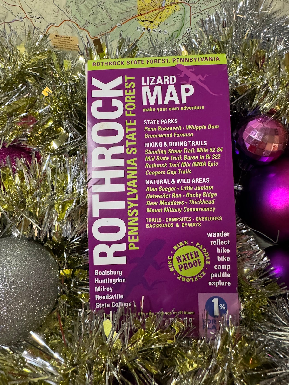 Rothrock Staet Forest Purple Lizard Map Holiday Outdoor Enthusiast Gift