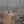Wooded trail  in Rothrock State Forest with a bike handlebar in the foreground - photo by Purple Lizard Maps