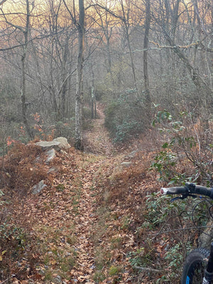 Wooded trail  in Rothrock State Forest with a bike handlebar in the foreground - photo by Purple Lizard Maps