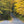 Winding road through Rothrock State Forest  in fall with yellow-leaved trees - photo by Purple Lizard Maps