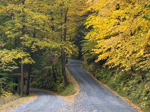 Winding road through Rothrock State Forest  in fall with yellow-leaved trees - photo by Purple Lizard Maps