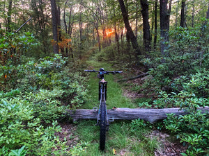 Purple Lizard Maps team member explores with a bicycle on a log in Rothrock State forest with a sunset through the trees