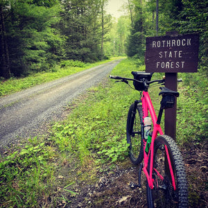 Pink bicycle leaning against a 'Rothrock State Forest' sign on a forest path.
