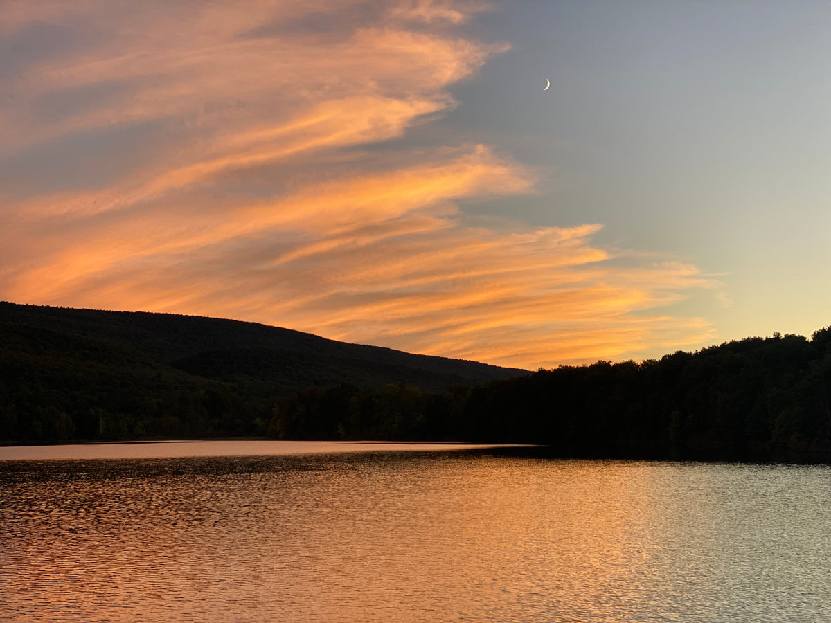 Rothrock Lizard Map, Pennsylvania