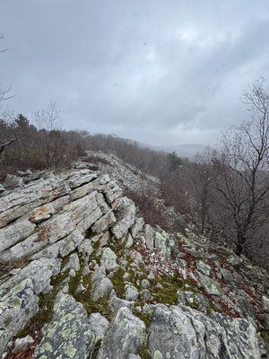 Rocky ledge in late fall in Rothrock State Forest  photo by Purple Lizard Maps