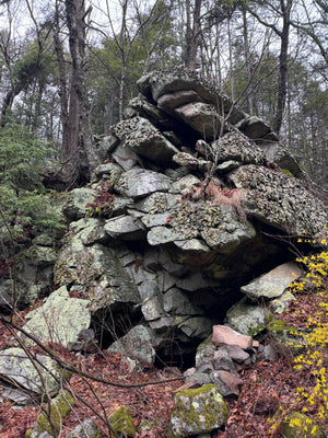 Rock formation with lichen in Rothrock State Forest - photo by Purple Lizard Maps