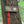 Dark Skies / Susquehannock State Forest Lizard Map