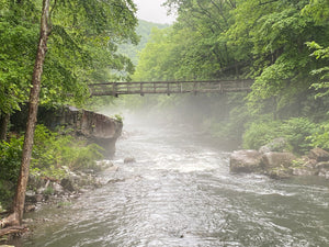Deep Creek - Savage River State Forest: Maryland Map