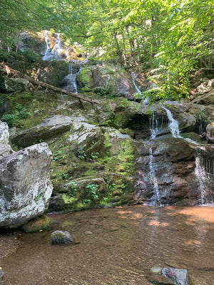 Shenandoah National Park