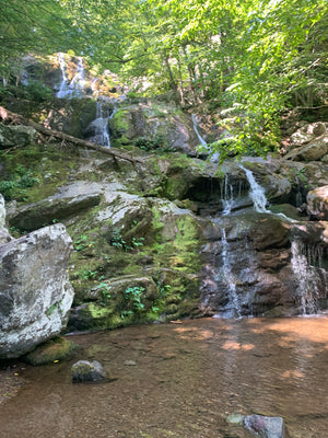 Shenandoah National Park North and South Two-Pack, Virginia