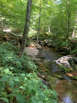Shenandoah National Park Stream Photo By Purple Lizard Maps
