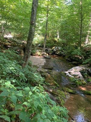 Shenandoah National Park North and South Two-Pack, Virginia