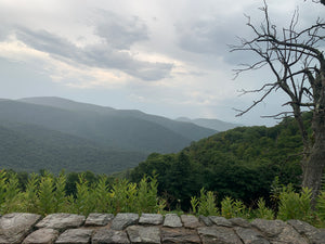 Shenandoah National Park Purple Lizard Map Photo View