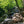 Shenandoah National Park waterfall