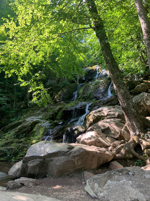 Shenandoah National Park waterfall