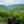 Dark Skies / Susquehannock State Forest Lizard Map