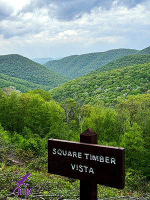 Dark Skies / Susquehannock State Forest Lizard Map