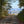 Dark Skies / Susquehannock State Forest Lizard Map