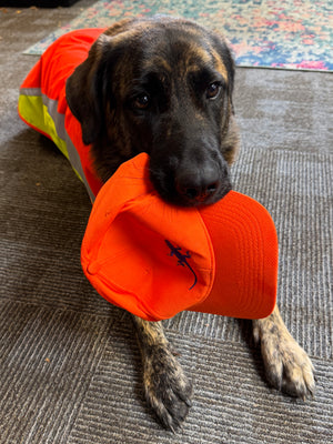 Lizard Performance Trail Cap