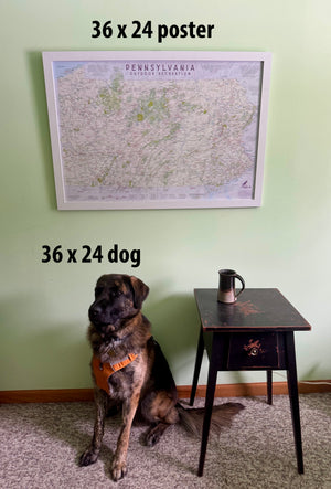 Pennsylvania Recreation Map Art Print and Poster