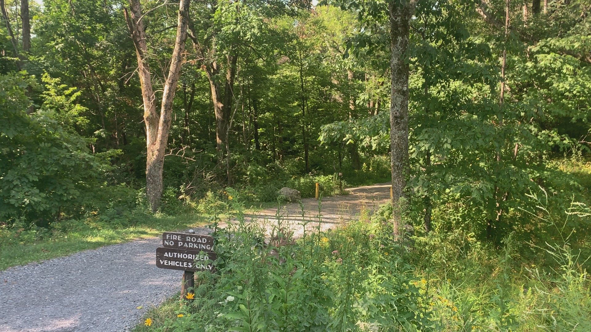 Video Shenandoah National Park Purple Lizard Map Exploring