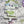 Purple Lizard Pennsylvania Outdoor Adventure Puzzle