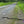 Dark Skies / Susquehannock State Forest Lizard Map
