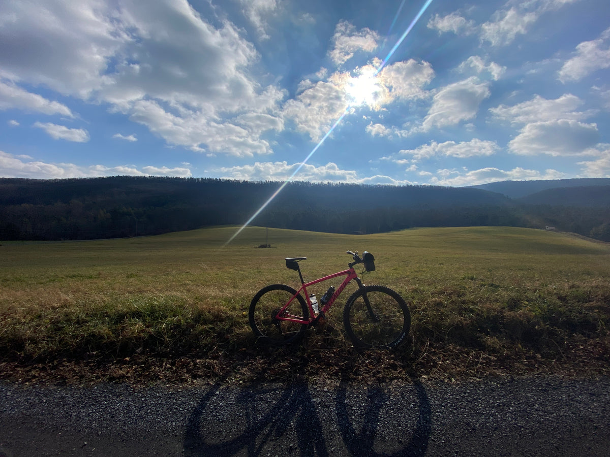 Rothrock Lizard Map, Pennsylvania