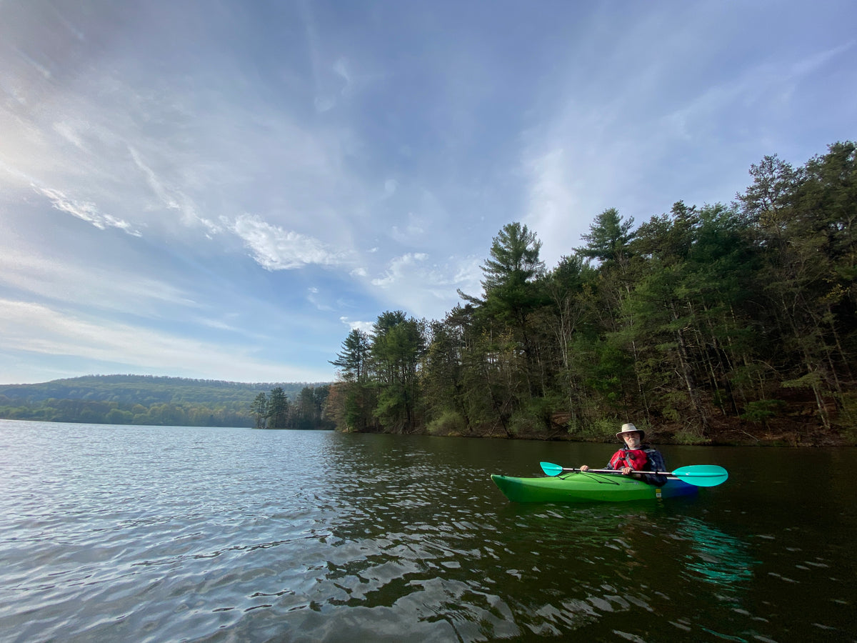 Rothrock Lizard Map, Pennsylvania