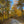 Winding road through Rothrock State Forest forest with trees displaying autumn colors. Photo by Purple Lizard Maps